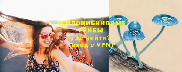 герыч Алексин