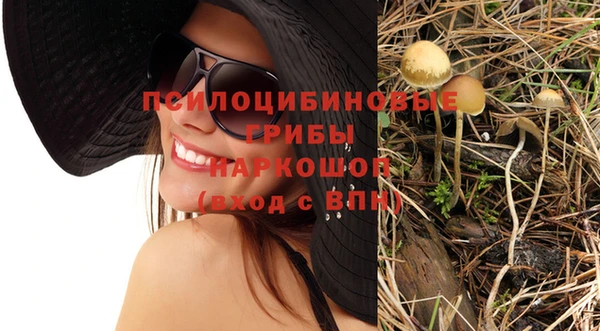 МДПВ Алексеевка