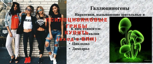 герыч Алексин