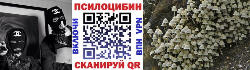 даркнет сайт  Бронницы  Псилоцибиновые грибы Cubensis 
